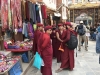 Some of the many monks