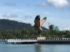 Langkawi is known for its eagles!!