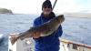 A 22-lb Pacific cod......yummers!!