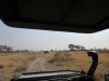 After the leaving the small airport we had our first game drive