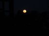 Full moon at night!!