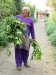Local Tharu lady picking leaves and marijuana for her sick goat!!