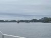 About 10 seiners fishing the mouth of Slocum Inlet as we left for Klag Bay