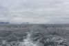 A few hours later we exit the fog bank as we enter Icy Strait near Glacier Bay