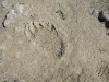 Huge footprint!!!