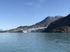 Lamplugh Glacier on our way out of John Hopkins Inlet