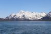 Views as we leave the Reed glacier anchorage