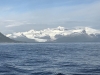Beautiful!!!! Note the calm, trawler like seas in the Cook Inlet:)))