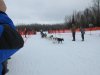 Other mushers coming in before Michelle