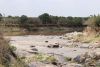 The Mara River