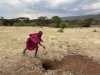 Local Maasai guard demonstrating how they would kill an Aardvark coming out of its tunnel