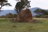 The next morning , a large termite mound