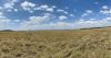 Panoramic view of the Mara savannah