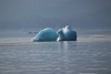 We saw many beautiful, impressive and colorful icebergs on our way up Endicott Arm to Dawes Glacier