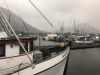 View from Mystic in Sitka....stormy but some light around noon time!!