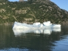 Huge icebergs