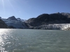 Nellie Juan Glacier