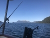 Trolling with a downrigger for salmon in Salisbury Sound