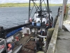 One of the boats offloading salmon