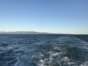 Leaving Prince William Sound on our 2 night passage to Sitka