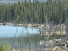 In the upper right is the beaver hut