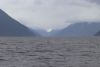 Leaving Haines to Skagway on May 4...pretty cloudy!!