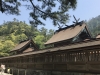 Chigi are forked roof finials found in Japanese and Shinto Architecture