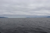 Views of chatham Strait as we enter Red Bluff Inlet
