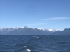 First views of the mountains along Kenai Peninsula....mainland Alaska