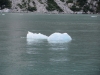 We had to dodge many icebergs!!