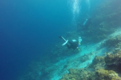 Wakatobi Underwater Dive