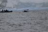 March 19am: Yalour Islands, immediately we see 3 Humpback whales from our zodiac