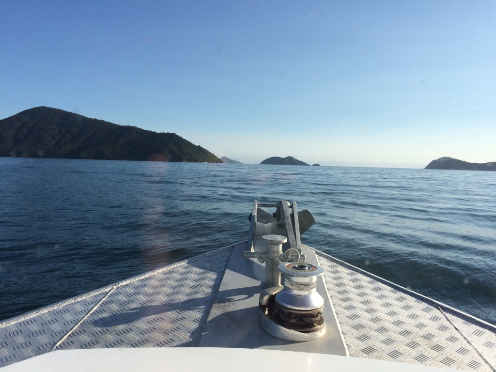 Queen Charlotte Sound; on our way to Motura Island