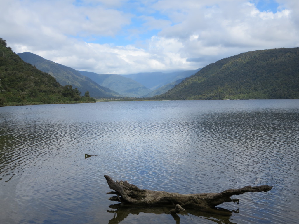 Lake Moelaki - near the lodge