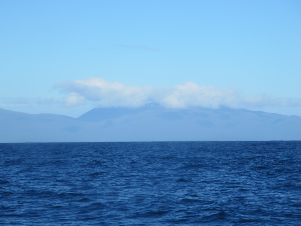 Stewart Island as seen from the Ferry - note how calm Forveaux Strait is