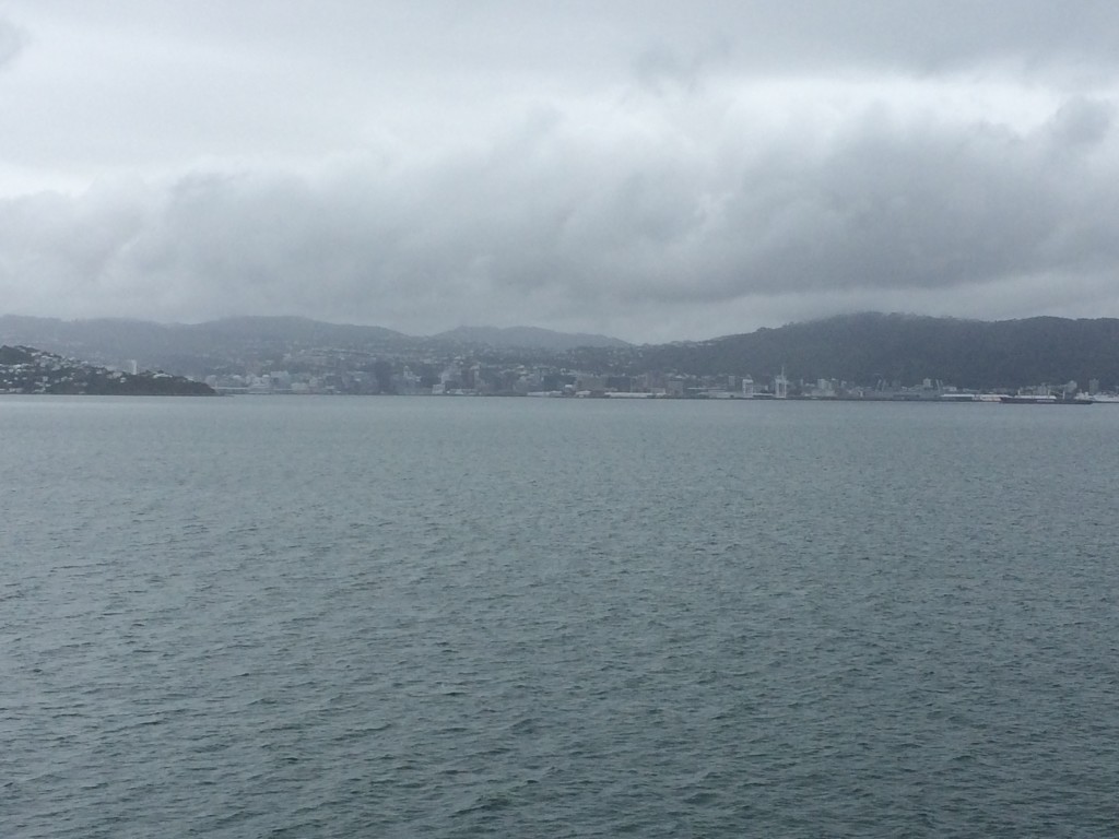 Wellington as seen from the ferry