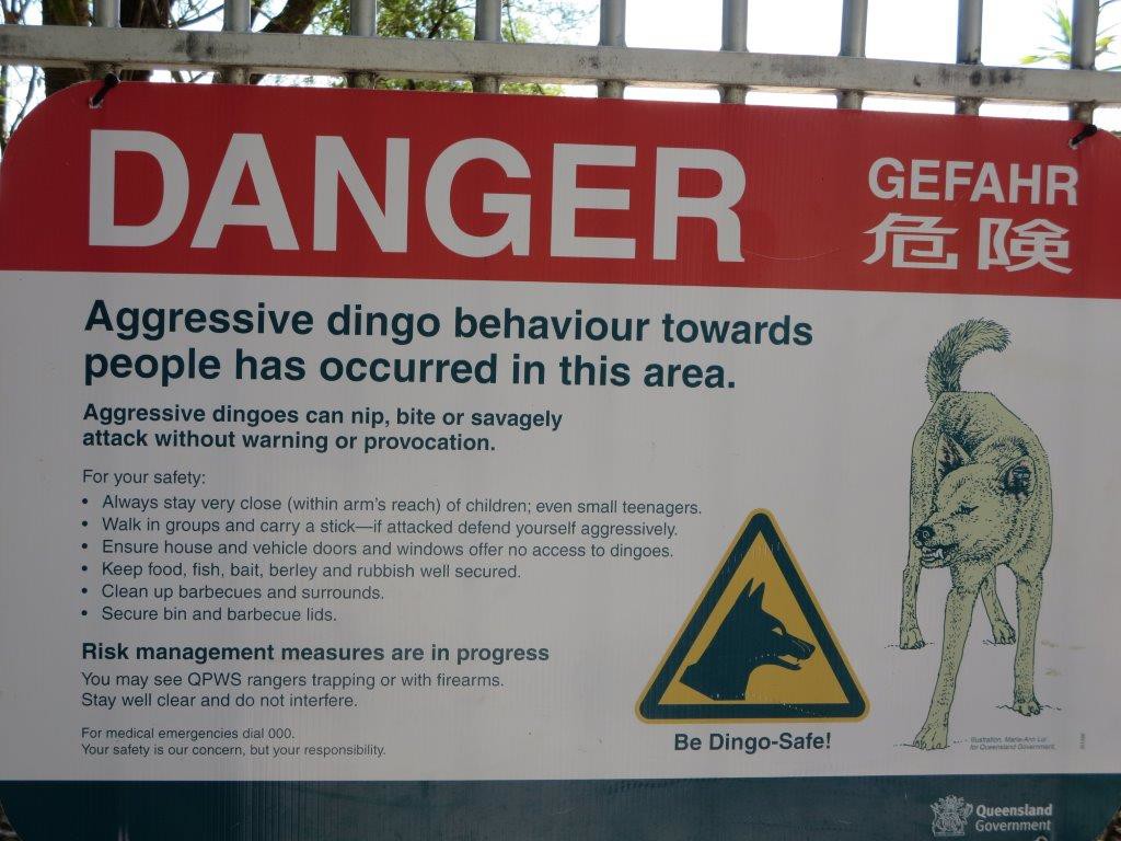 On Kingfisher Beach; our first warning of dangers in Australia; one of many we fear!!!