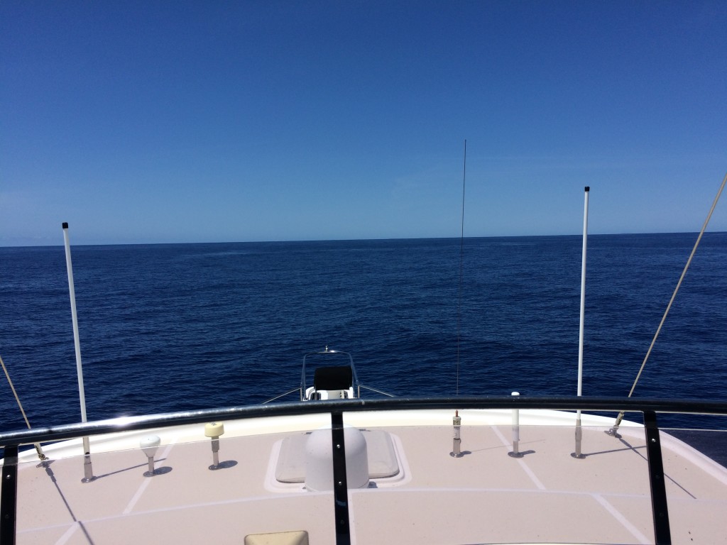 Now this is perfect trawler like conditions!!! Except no whale:)))
