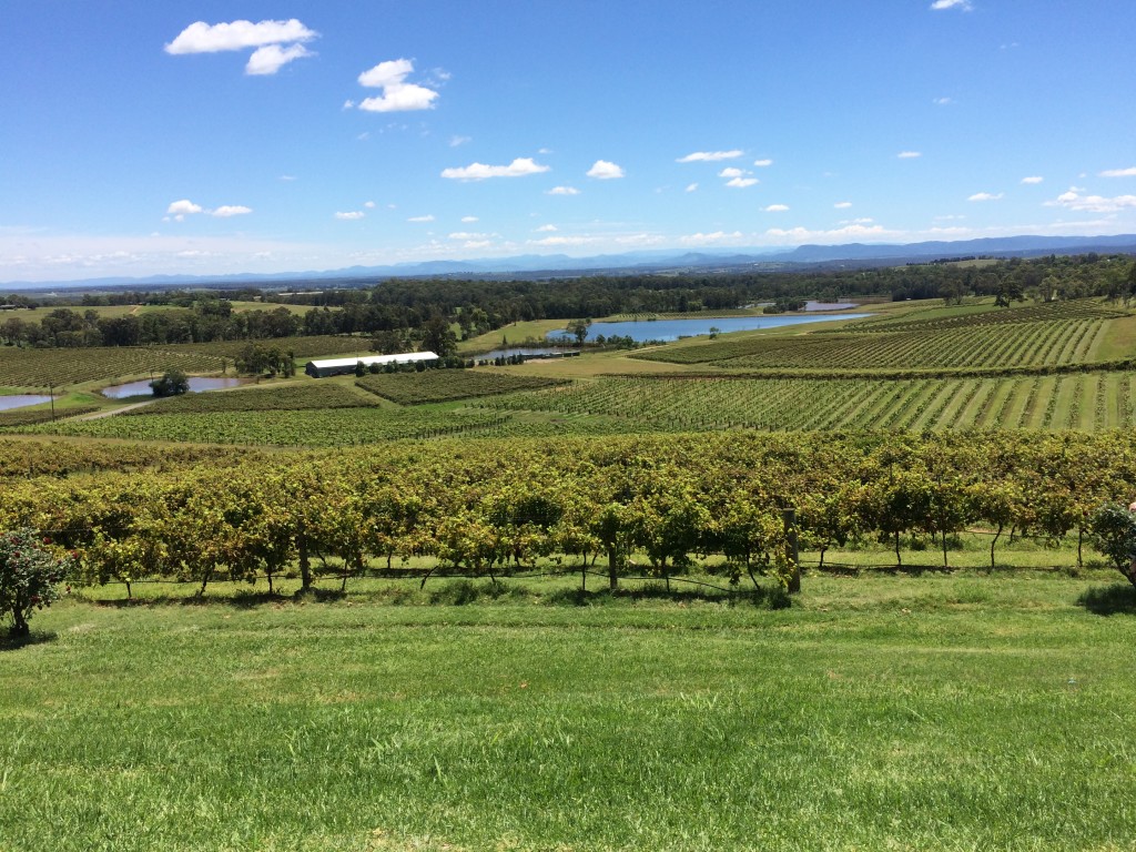 View of Hunter Valley from Audrey's Winery