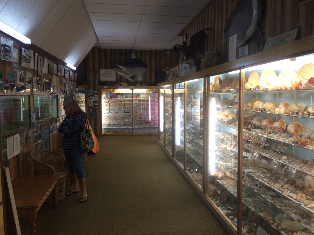 Kathy at the sea shell museum