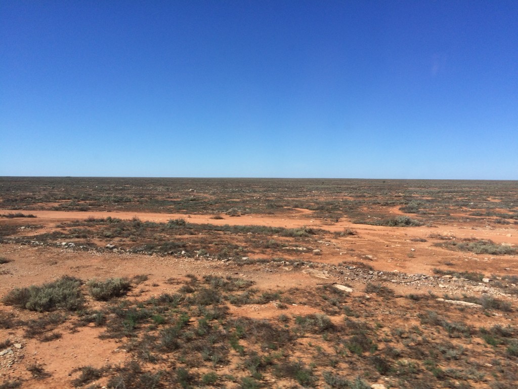 In the middle of the Nullarbor Desert