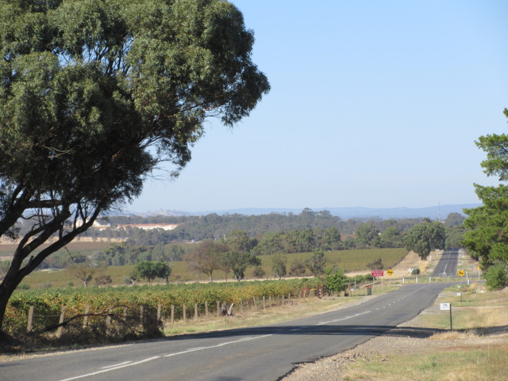 View of Barossa Valley