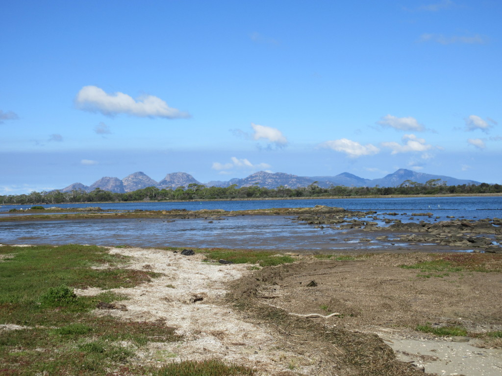 View of Hazard Mountains from oyster farm