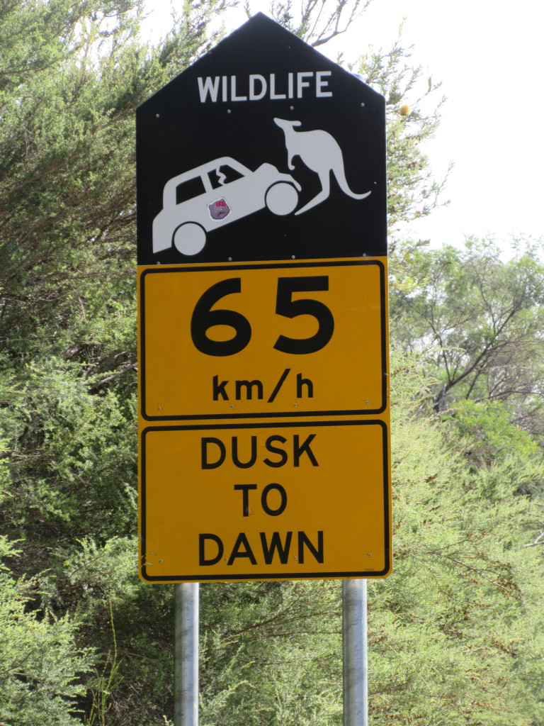Our favorite road side warning sign.....is that Roo really lifting the car???