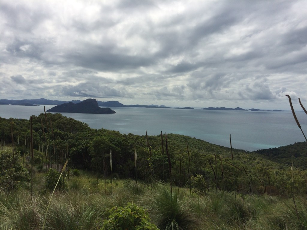 Looking north from Mt Oldfield  We will be going through that cut on our way to Whitehaven Beach
